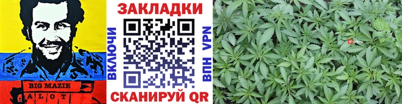 Магазины продажи наркотиков Щёлкино Конопля  Лсд 25  Гашиш  Меф мяу мяу 